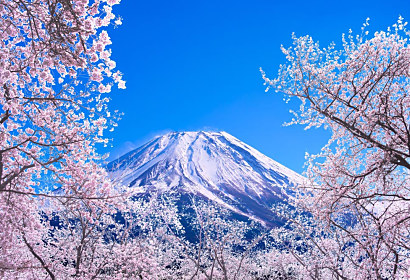 Fototapeta Zasněžená Hora Fuji 1380